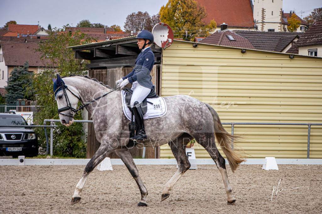 IMG_1155 | Erleben Sie dynamische Sport- und emotionale Tierfotografie in Süddeutschland mit Fotos von Paula. Spezialisiert auf Pferde- und Hundefotografie sowie Sportevents. Kontaktieren Sie mich für einzigartige und ausdrucksstarke Bilder Ihrer besonderen Momente. - Realisiert mit Pictrs.com