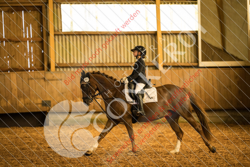 IMG_8357 | Hier findest Du viele Augenblicke aus den Bereichen der Turnier-, Sport- & Tierfotografie. Bilder mit deinem Liebling, Portrait-, Bewerbungs-, Businessbilder können ebenfalls schnell und einfach erstellt werden.