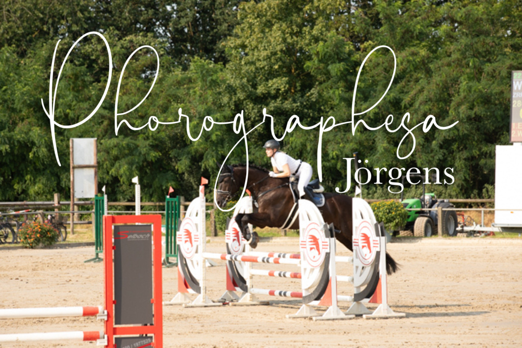 IMG_3889 | photographesa-joergens - Realisiert mit Pictrs.com