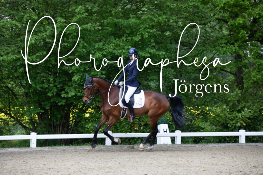 IMG_0301 | photographesa-joergens - Realisiert mit Pictrs.com