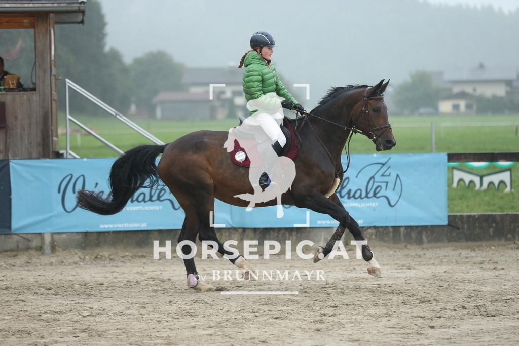 AS8V5523 | Willkommen bei Brunnmayr - Design & Fotografie – Ihrem Spezialisten für Reitturniere und Pferdeveranstaltungen in Oberösterreich, Salzburg und Bayern! Seit über 17 Jahren sind wir leidenschaftlich dabei.
