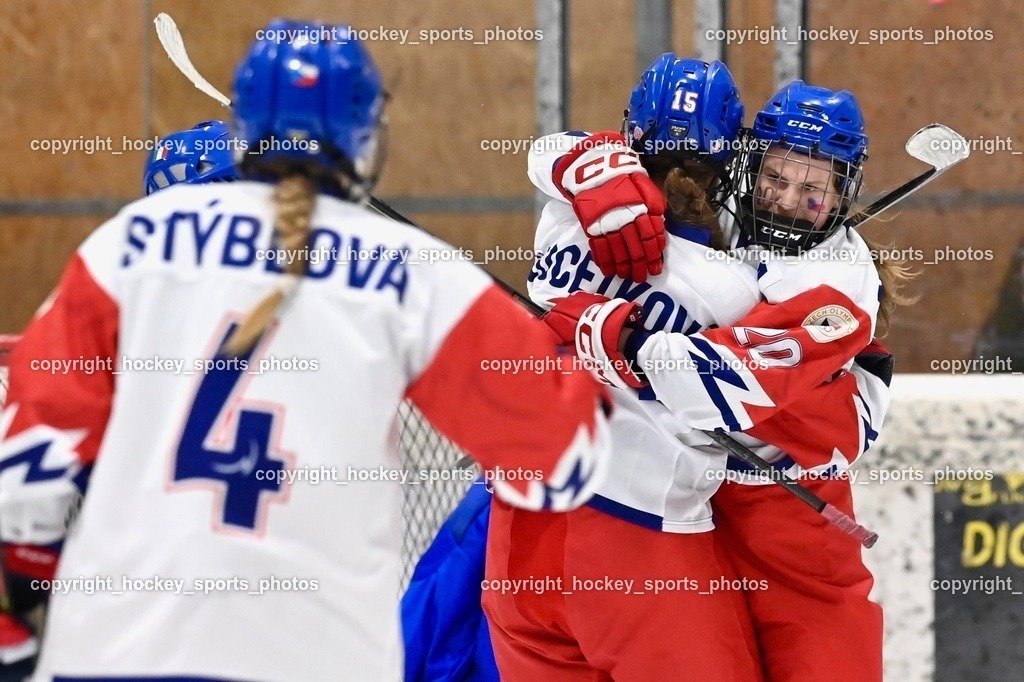 BST_5062 | hockey sports photos, Pressefotos, Sportfotos, hockey247, win 2day icehockeyleague, Handball Austria, Floorball Austria, ÖVV, Kärntner Eishockeyverband, KEHV, KFV, Kärntner Fussballverband, Österreichischer Volleyballverband, Alps Hockey League, ÖFB, 