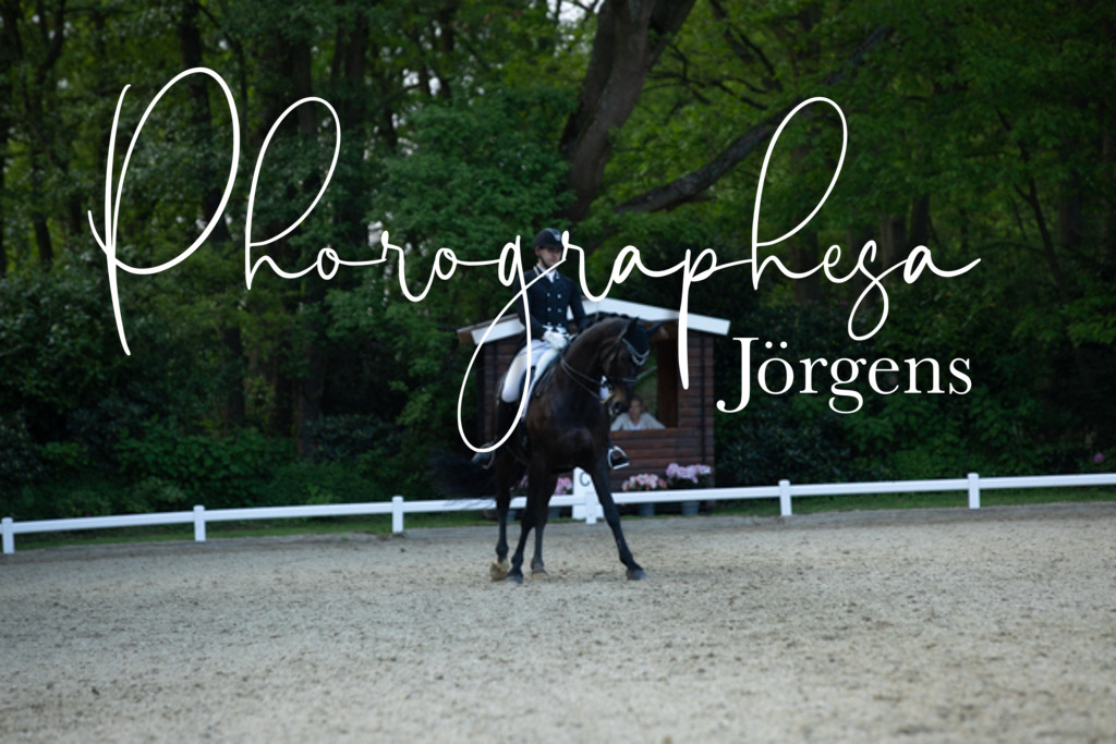 IMG_9400 | photographesa-joergens - Realisiert mit Pictrs.com