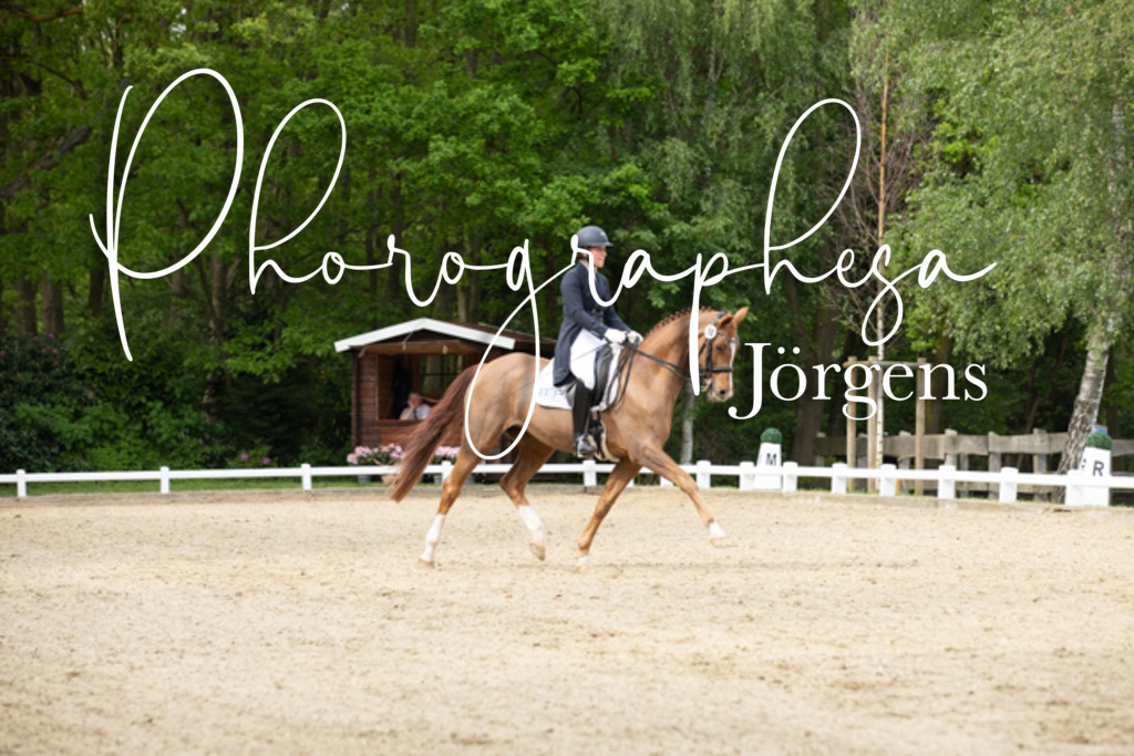 IMG_2647 | photographesa-joergens - Realisiert mit Pictrs.com