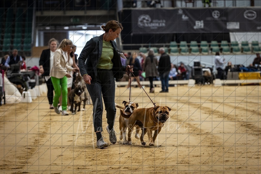 DS - Paarklasse_0018 | Markus Heber Photography