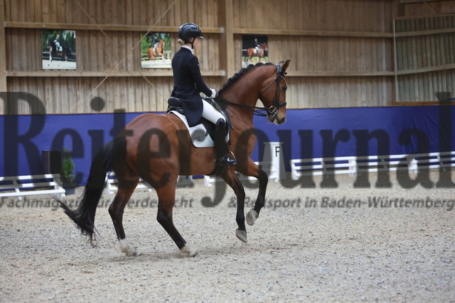 Zeutern_2024_Prfg.Nr.04_Inter I_Celine Geissler_Expialidocious B (20) | Alle Fotos der Reiterjournal Fotografin Doris Matthaes im Reiterjournal Online-Fotoshop. - Realisiert mit Pictrs.com