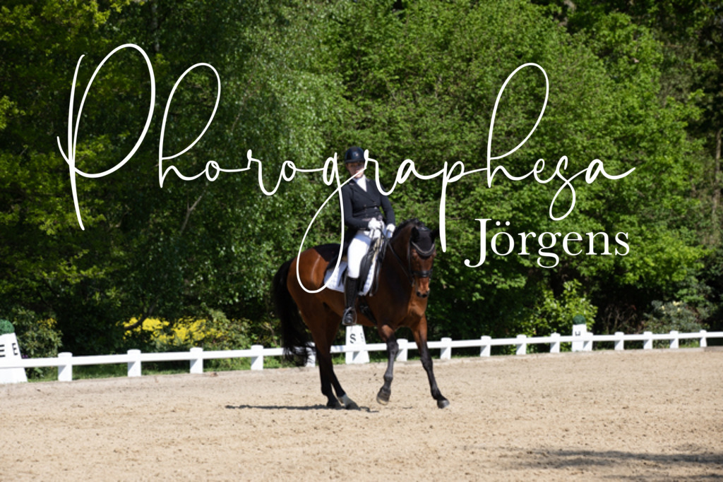 IMG_3542 | photographesa-joergens - Realisiert mit Pictrs.com