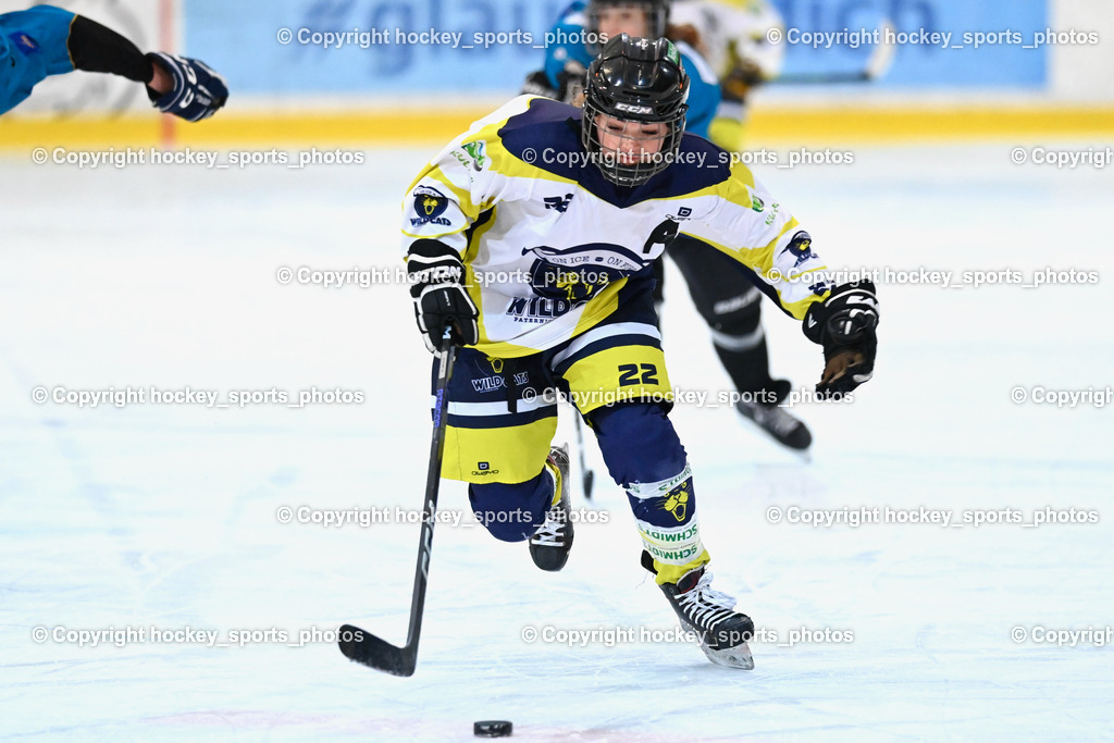 BST_6529 | hockey sports photos, Pressefotos, Sportfotos, hockey247, win 2day icehockeyleague, Handball Austria, Floorball Austria, ÖVV, Kärntner Eishockeyverband, KEHV, KFV, Kärntner Fussballverband, Österreichischer Volleyballverband, Alps Hockey League, ÖFB, 