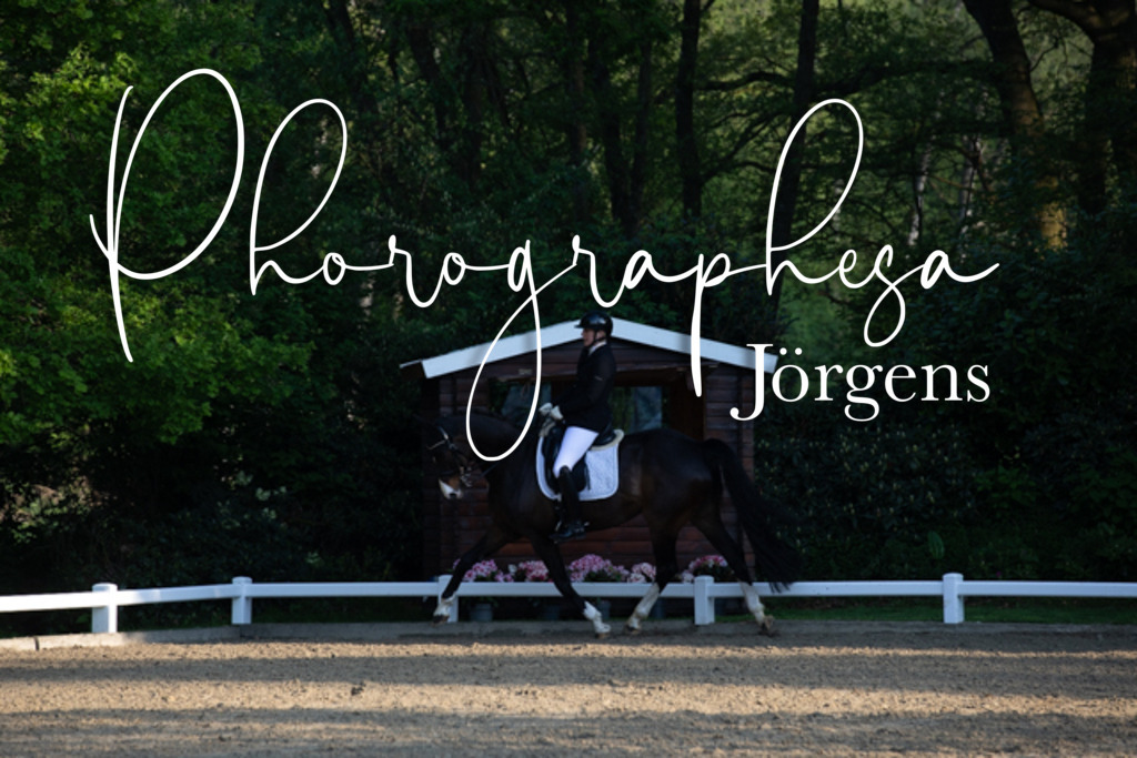 IMG_1929 | photographesa-joergens - Realisiert mit Pictrs.com