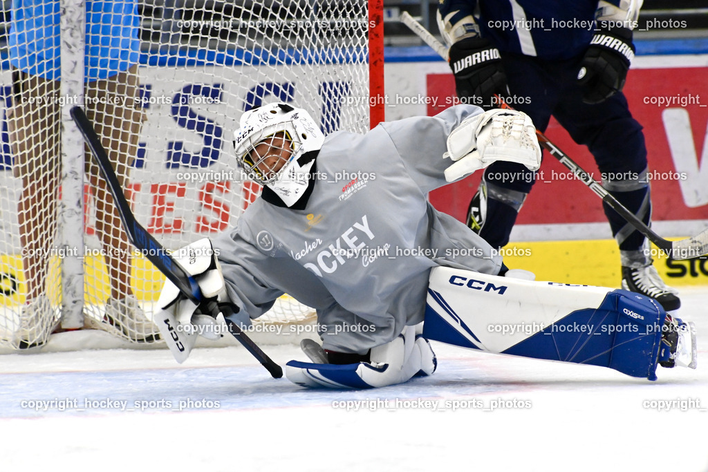 BST_7805 | hockey sports photos, Pressefotos, Sportfotos, hockey247, win 2day icehockeyleague, Handball Austria, Floorball Austria, ÖVV, Kärntner Eishockeyverband, KEHV, KFV, Kärntner Fussballverband, Österreichischer Volleyballverband, Alps Hockey League, ÖFB, 