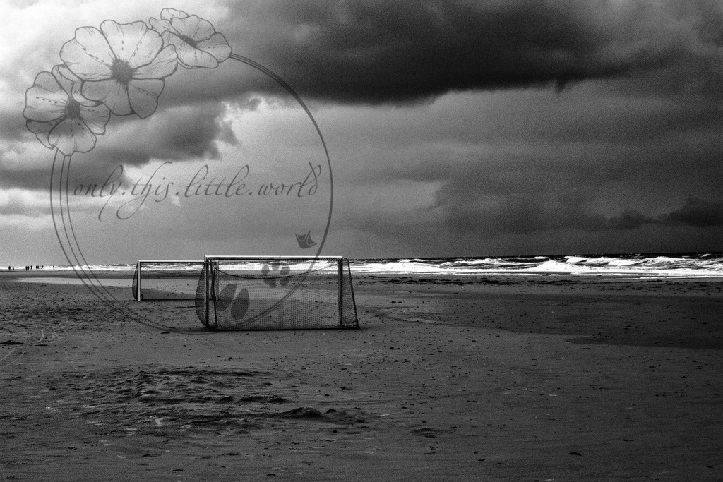 IMG_9176-01 | only.this.little.world - Realisiert mit Pictrs.com
