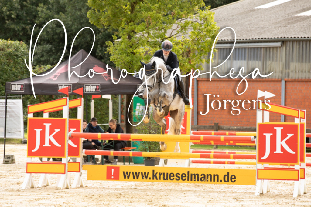 IMG_5652 | photographesa-joergens - Realisiert mit Pictrs.com