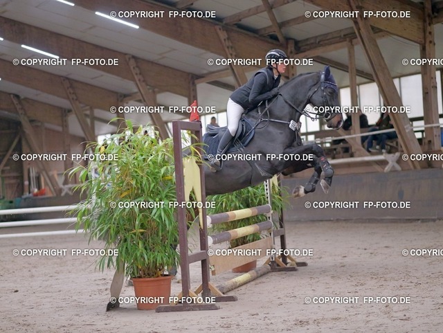 P0161989.t | FP-Foto.de - Realisiert mit Pictrs.com