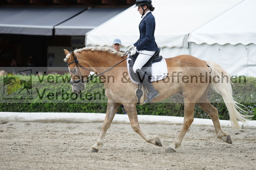 DSC04779 | equestrian-live-com