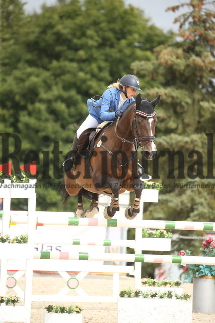 Villingendorf_2022_Prfg.Nr.12_zwei Phasen_Springprfg.Kl.M_Amateur-Tour_Kerstin Annika Walker_HB Dalida (5) | Alle Fotos der Reiterjournal Fotografin Doris Matthaes im Reiterjournal Online-Fotoshop. - Realized with Pictrs.com