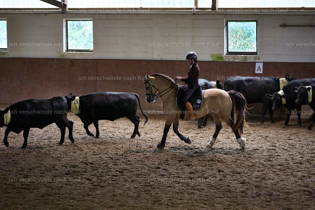 SIN09803 2_Marixx | working equitationturnier fotograf videograf stoibphotography marixx film working equitation deutschland reitsport turnierfotografie eventfotografie equestrian events