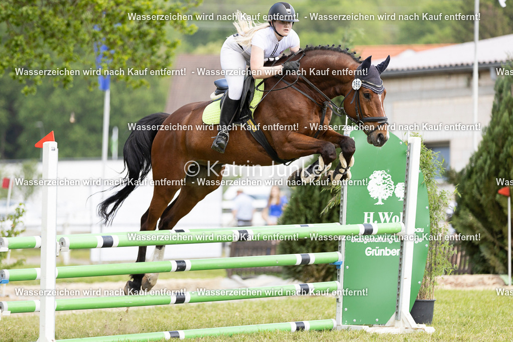 16-204 | Reitverein Grünberg - hier können Turnierfotos online bestellt werden! - Realisiert mit Pictrs.com