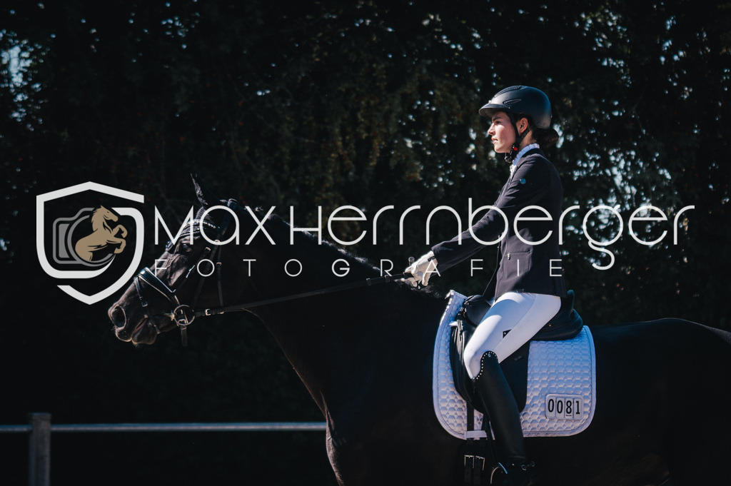 BT04-4648 | max-herrnberger