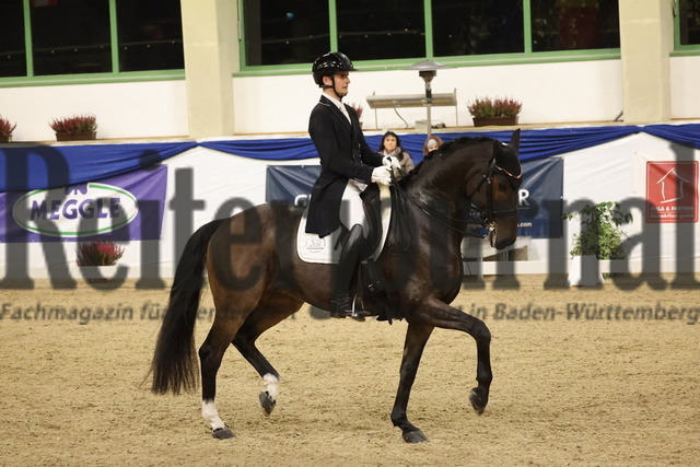 Ising_2025_Prfg.Nr.02_Grand Prix Kür_Max Wadenspanner_Zardetto M (25) | Alle Fotos der Reiterjournal Fotografin Doris Matthaes im Reiterjournal Online-Fotoshop. - Realisiert mit Pictrs.com