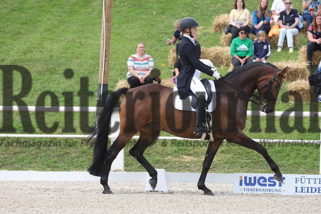 Birkhof_2023_Prfg.Nr.03_Intermediaire II_Louisdor_Mathilde Koefoed-Nielsen_Blue Hors Odin Unik (4) | Alle Fotos der Reiterjournal Fotografin Doris Matthaes im Reiterjournal Online-Fotoshop. - Realized with Pictrs.com