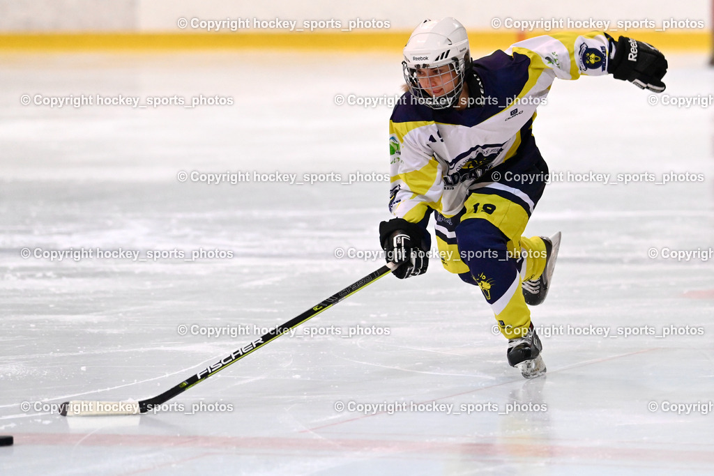 BST_6318 | hockey sports photos, Pressefotos, Sportfotos, hockey247, win 2day icehockeyleague, Handball Austria, Floorball Austria, ÖVV, Kärntner Eishockeyverband, KEHV, KFV, Kärntner Fussballverband, Österreichischer Volleyballverband, Alps Hockey League, ÖFB, 