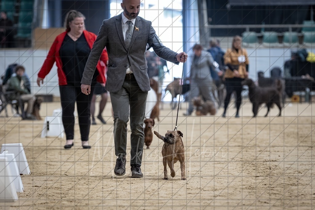 DS - Best in Show_0007 | Markus Heber Photography