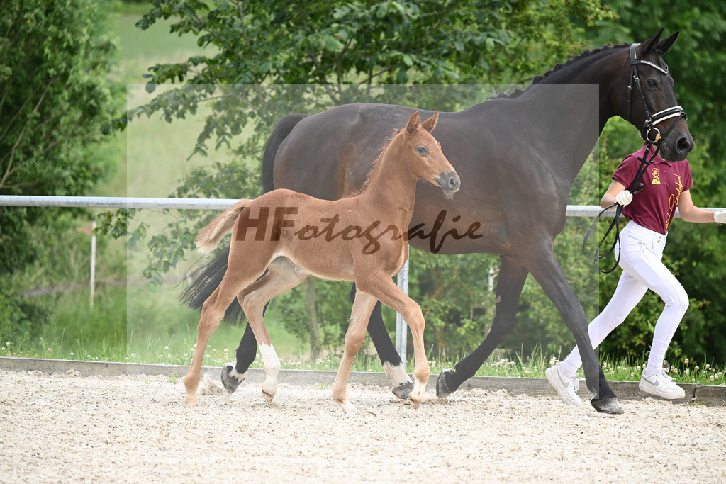 Consantos x Concetto_SF_Lang-Wengert_20241112 | hf-fotografie - Realisiert mit Pictrs.com