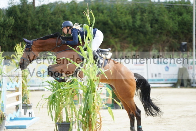 DSC03980 | equestrian-live-com