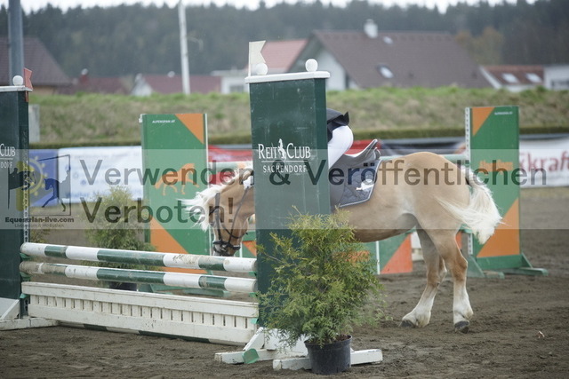 _DSC8510 | equestrian-live-com