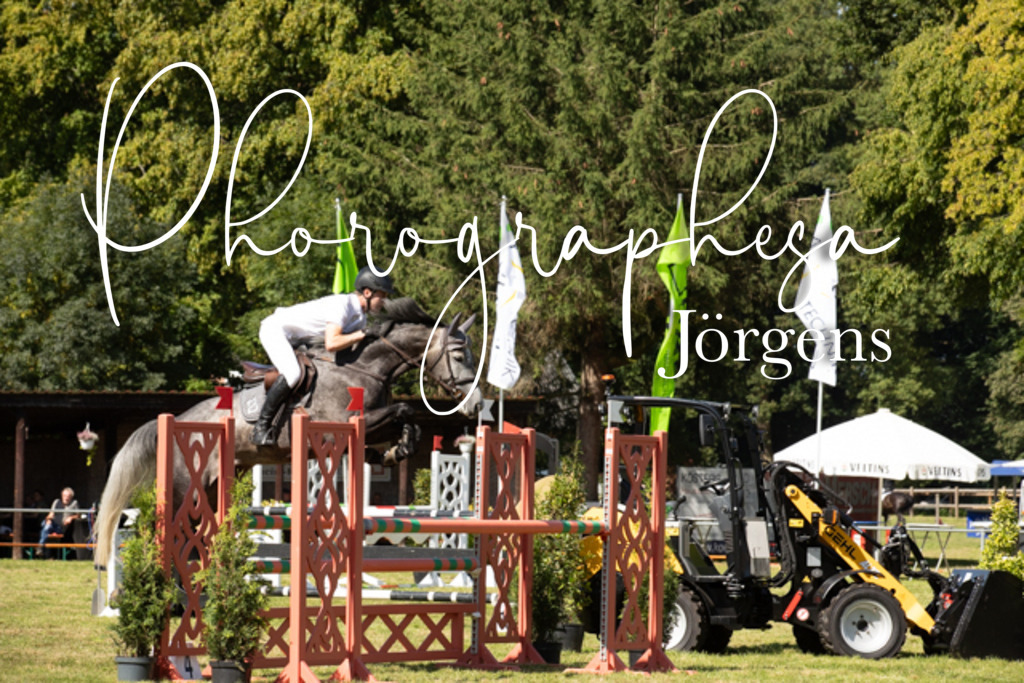 IMG_9014 | photographesa-joergens - Realisiert mit Pictrs.com