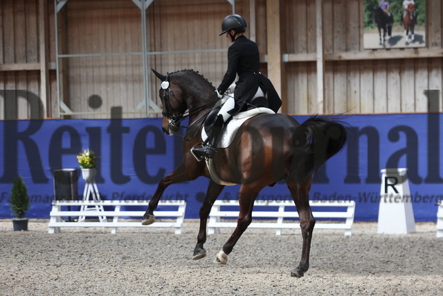 Zeutern_2023_Dressur_Kl.S_Prix St.Georges_Amateure_Lisa Astfalck_Zinedine 4 (11) | Alle Fotos der Reiterjournal Fotografin Doris Matthaes im Reiterjournal Online-Fotoshop. - Realizzato con Pictrs.com