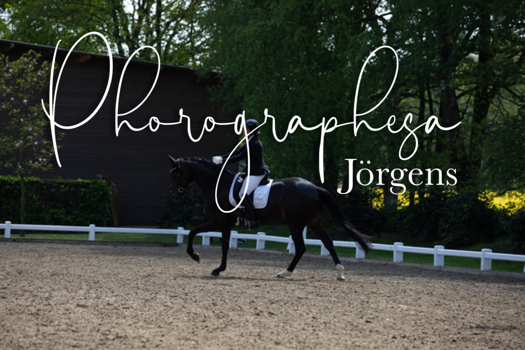 IMG_9068 | photographesa-joergens - Realisiert mit Pictrs.com