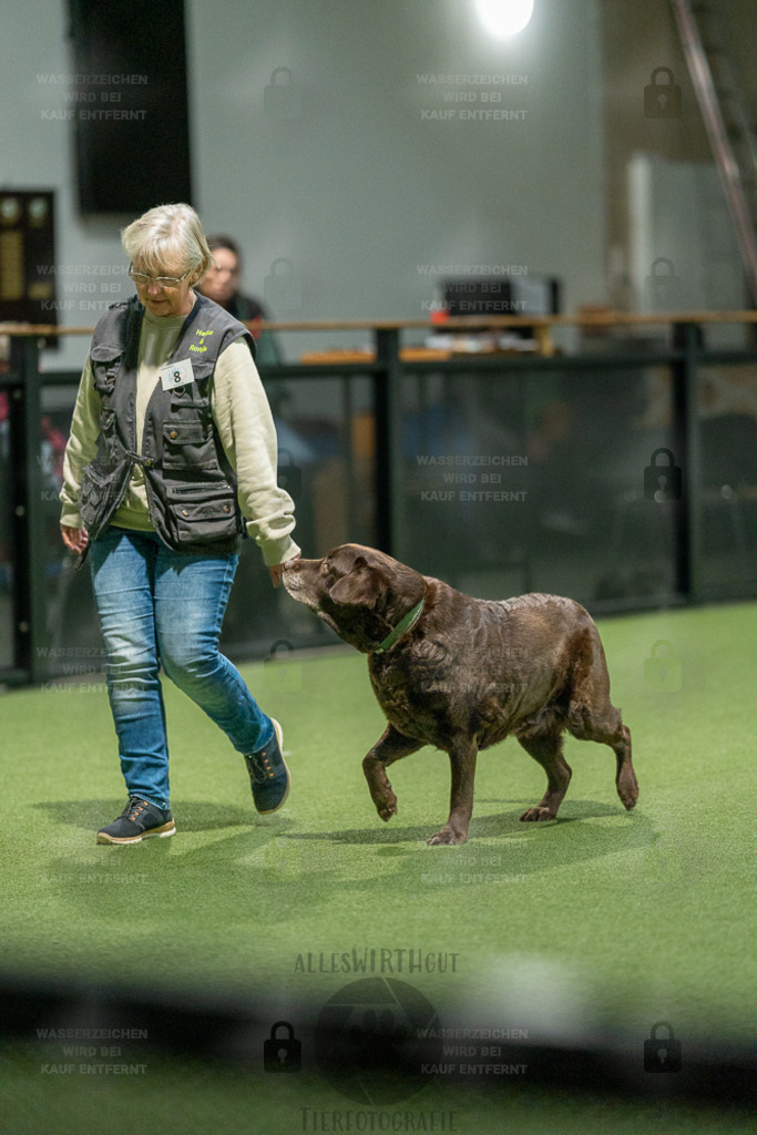 7IV09379 | Professionelle Tierfotografie in Mönchengladbach von Daniel Wirth (allesWIRTHgut). Liebevolle & natürliche Bilder von Hunden & Katzen für unvergessliche Erinnerungen.