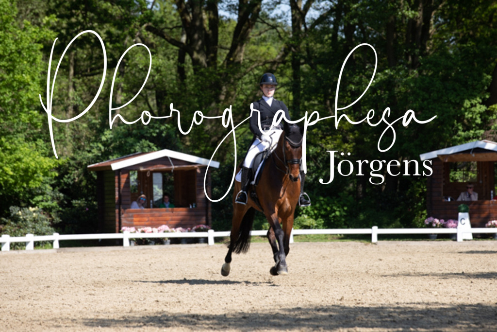 IMG_3484 | photographesa-joergens - Realisiert mit Pictrs.com