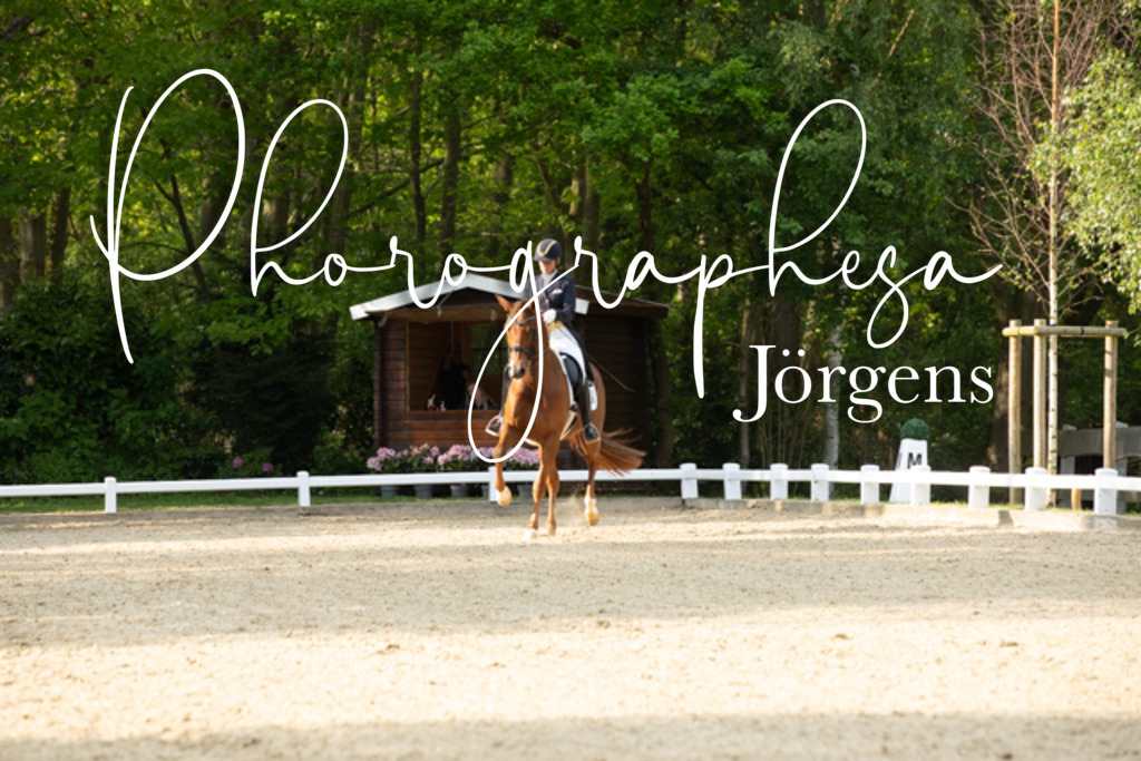 IMG_8608 | photographesa-joergens - Realisiert mit Pictrs.com