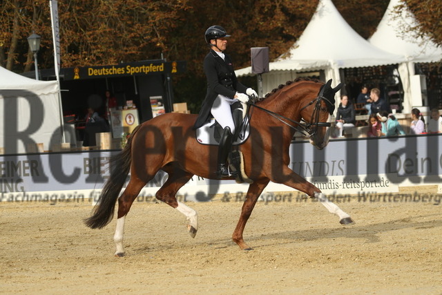 Ludwigsburg_2022_Prfg.Nr02_FEI Intermediaire I_Renate Voglsang_Johnsons Danubia (4) | Alle Fotos der Reiterjournal Fotografin Doris Matthaes im Reiterjournal Online-Fotoshop. - Realisiert mit Pictrs.com