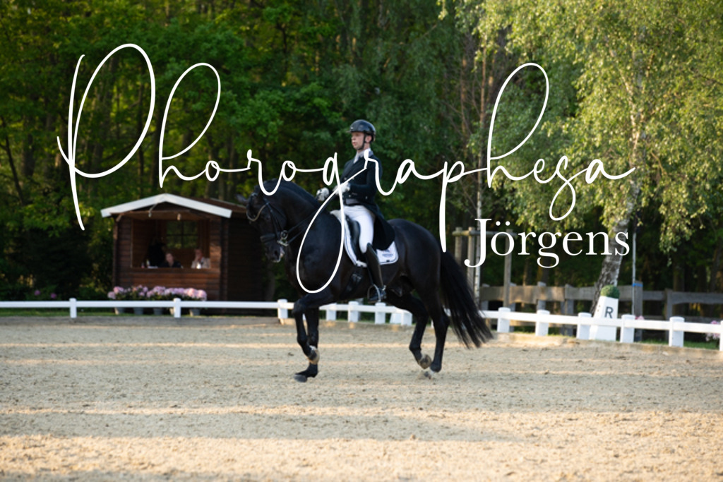 IMG_9070 | photographesa-joergens - Realisiert mit Pictrs.com