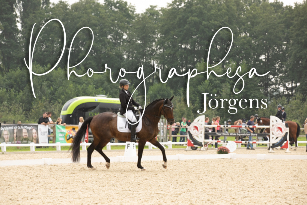IMG_2853 | photographesa-joergens - Realisiert mit Pictrs.com