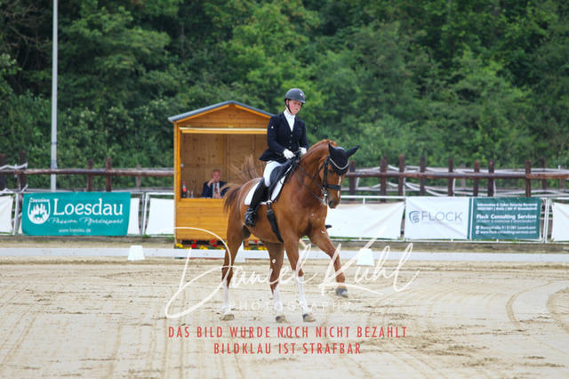 DKP48697 | Turniersportfotografie; Pferdefotografie; Dressurfotografie