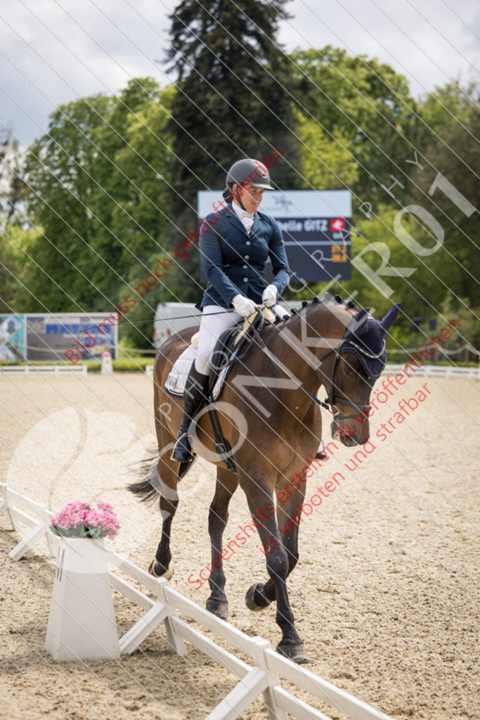 IMG_4850 | Hier findest Du viele Augenblicke aus den Bereichen der Turnier-, Sport- & Tierfotografie. Bilder mit deinem Liebling, Portrait-, Bewerbungs-, Businessbilder können ebenfalls schnell und einfach erstellt werden.