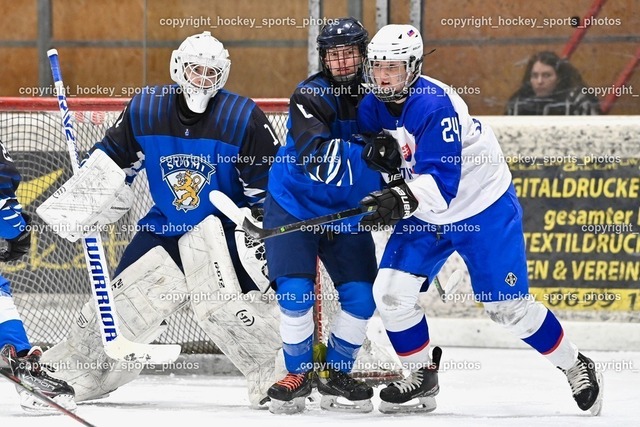 BST_4458 | hockey sports photos, Pressefotos, Sportfotos, hockey247, win 2day icehockeyleague, Handball Austria, Floorball Austria, ÖVV, Kärntner Eishockeyverband, KEHV, KFV, Kärntner Fussballverband, Österreichischer Volleyballverband, Alps Hockey League, ÖFB, 