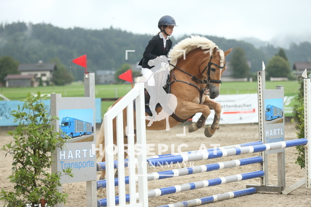 AS8V5699 | Willkommen bei Brunnmayr - Design & Fotografie – Ihrem Spezialisten für Reitturniere und Pferdeveranstaltungen in Oberösterreich, Salzburg und Bayern! Seit über 17 Jahren sind wir leidenschaftlich dabei.