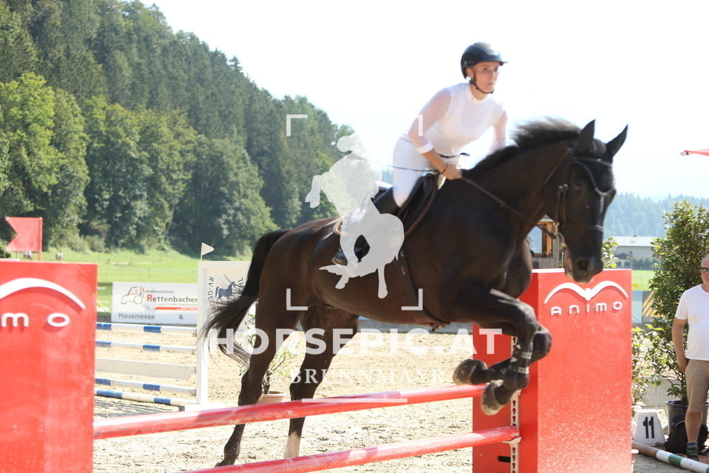 DL2Q2405 | Willkommen bei Brunnmayr - Design & Fotografie – Ihrem Spezialisten für Reitturniere und Pferdeveranstaltungen in Oberösterreich, Salzburg und Bayern! Seit über 17 Jahren sind wir leidenschaftlich dabei.
