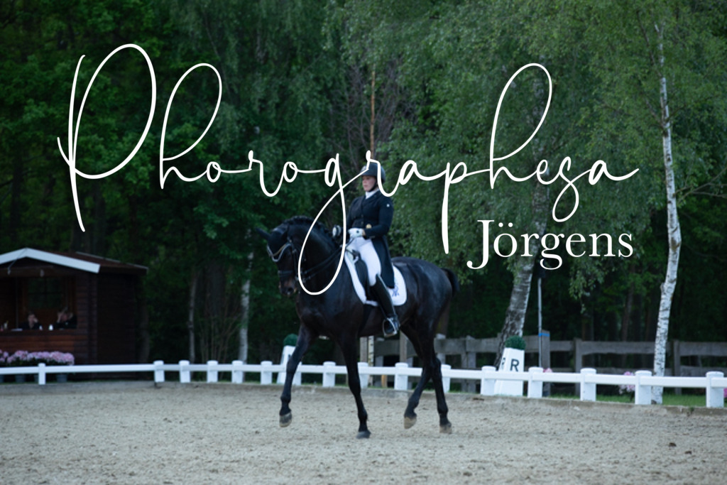 IMG_9733 | photographesa-joergens - Realisiert mit Pictrs.com