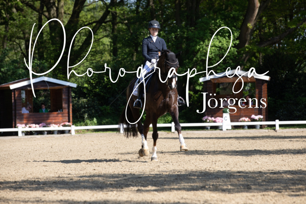 IMG_3122 | photographesa-joergens - Realisiert mit Pictrs.com