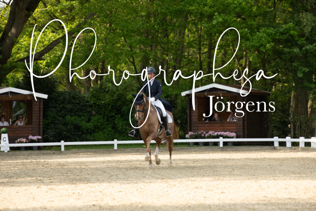 IMG_8438 | photographesa-joergens - Realisiert mit Pictrs.com