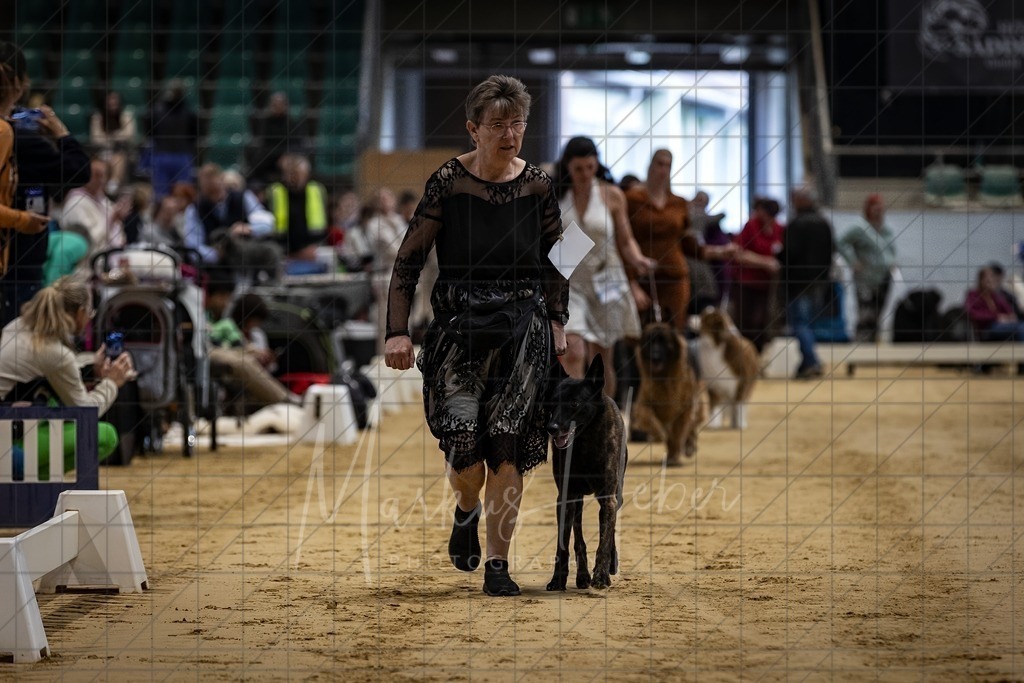 DS - FCI Gruppe 1_0045 | Markus Heber Photography
