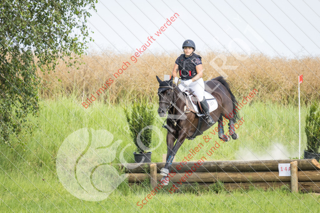 IMG_9801 | Hier findest Du viele Augenblicke aus den Bereichen der Turnier-, Sport- & Tierfotografie. Bilder mit deinem Liebling, Portrait-, Bewerbungs-, Businessbilder können ebenfalls schnell und einfach erstellt werden.