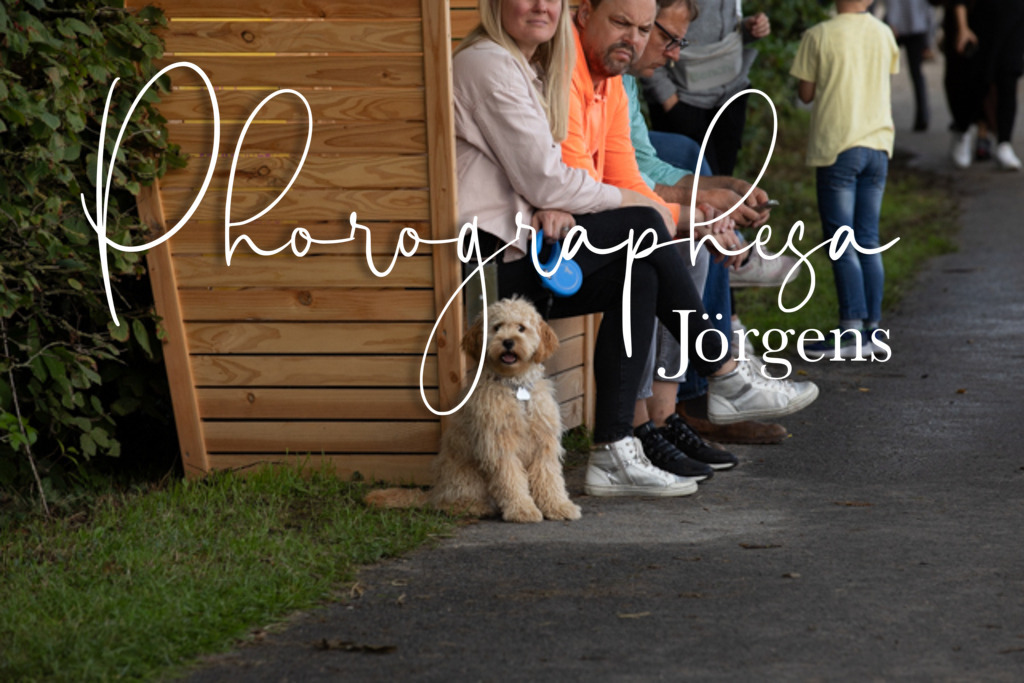 IMG_6225 | photographesa-joergens - Realisiert mit Pictrs.com