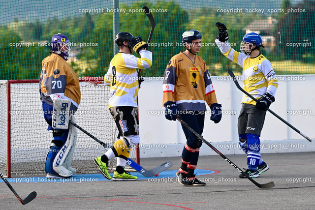 VAS Ballhockey vs. Team Zehenthof 11.6.2023 | #70 Moser Lukas, #8 WUNTSCHEK Dominik, #17 Hobitsch Samuel, #17 ANDRIC Kilian, Jubel Team Zehenthof Mannschaft